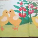 바우솔어린이집 네이버블로그