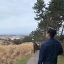 우진카정비쎈타 | 2026年 3月 • 제주도 2박3일 여행 ① 우진해장국, 오희커피, 항몽유적지, 마제스티펜션, 탱글, 도돈