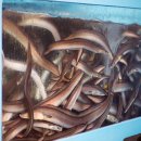 경운횟집 이미지