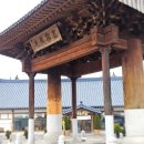 카페호야# | [이천 카페] 삼삼한 쌀빙수와 감각있는 한옥카페 방문 후기 <카페호야> feat. 고양이