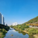 세븐일레븐안양유원지점 | 10.25.~10.31.일상가계부(카페다니는일상,단기알바,만화방,화랑유원지,행리단길)