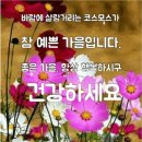 헤드라인 뉴스(20년10월16일) 이미지