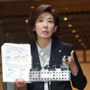 [장르모름] “대통령에게도 국회 해산권이 있어야 하지 않나” (나경원) 이미지