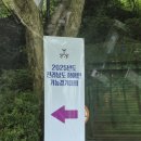 초당대학교 | 2025전남장애인기능경기대회/바리스타/바리스타대회