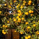 민기농장 이미지