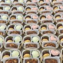 덤피(Dumpy) 이미지