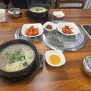 탐나오리 이미지