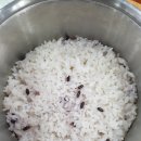 코다리밥상 이미지