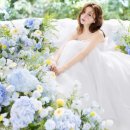 브라이드클럽 | W07[스드메]샐리브라이드 촬영 드레스 피팅, 셀렉 후기 (플래너 없이 웨딩준비)