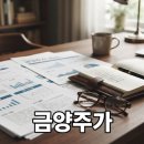 금양기업 | 금양 상장폐지 위기 배경과 투자자 대응 상황