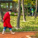 장안근린공원 이미지