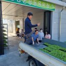 단양군농업기술센터 이미지