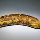 바나나 이미지