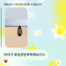 방방복복