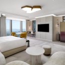 강남-231 이미지