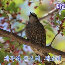 자연의 소리 이미지