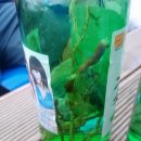 솔방울 펜션 이미지