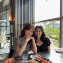 몽슈 펫그루밍샵 이미지