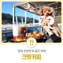 크릿커피 이미지