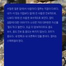 인공지능은 나의 읽기-쓰기를 어떻게 바꿀까 이미지