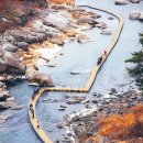 축제로 확장되는 철원의 겨울 이미지