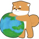 조아여행사 - 울릉군 도동길 253-6 | 조아여행사