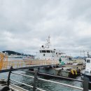 요리사횟집 이미지