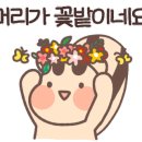 코코힐
