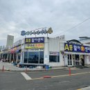 종일활어 이미지