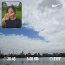 🇦🇺 호주 워홀 ~D+434 | 영화 네 편 본 짭네필의 일상 / 문라이트시네마 / 질롱 당일치기⛴️ / 멜버른...