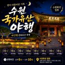 용산 국가유산 야행 | 수원 국가유산 야행 방문 후기! 해설투어부터 화성행궁 야간개장 공연까지