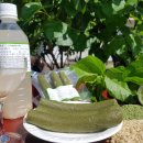 김종화농장 이미지