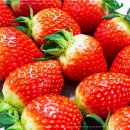 서울21치과의원 이미지