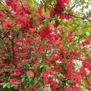 우리동내 이미지