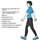 정형외과 의사가 말하는 &#39;운동의 원칙&#39; 그리고 기억해야 할 7가지 원칙 이미지