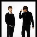 오아시스 이미지