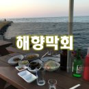 해양막회