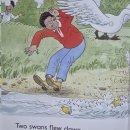 The Duckling Race 이미지