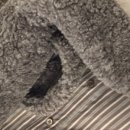 테시토의원 이미지