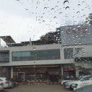 카페힐(CAFE HILL) 이미지