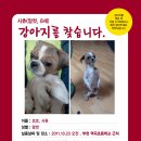 역곡초등학교 이미지