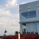 1871커피 이미지