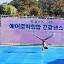 제2회 논산시민참여에어로빅힙합건강댄스공연 이미지