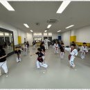 드림 태권도장 이미지