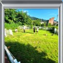 강아지맛집 이미지