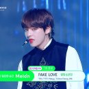 미친 태형이 이 움짤 본 아미들 특징 이미지