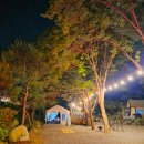 양평캠핑밸리 | 11월, 가평·양평 글램핑장에서 불멍하고 온 이야기