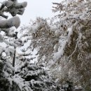 권선3공원 이미지