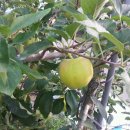 해뜨는농장 이미지