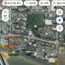 금이랑은이랑 | 파주 금릉 금이공원 공릉천 튤립축제 따끈따끈 주말 후기